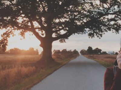 picture of a tree at sunset